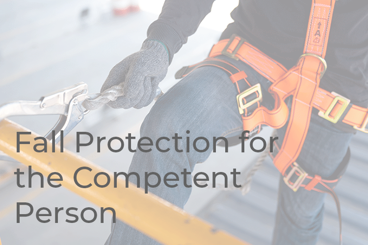 Read more about the article Fall Protection For The Competent Person