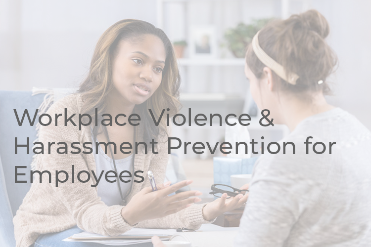 Read more about the article Basic Workplace Violence & Harassment Prevention For Employees