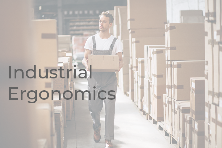 Read more about the article Industrial Ergonomics