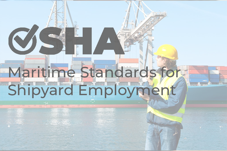 Read more about the article OSHA Maritime Standards For Shipyard Employment
