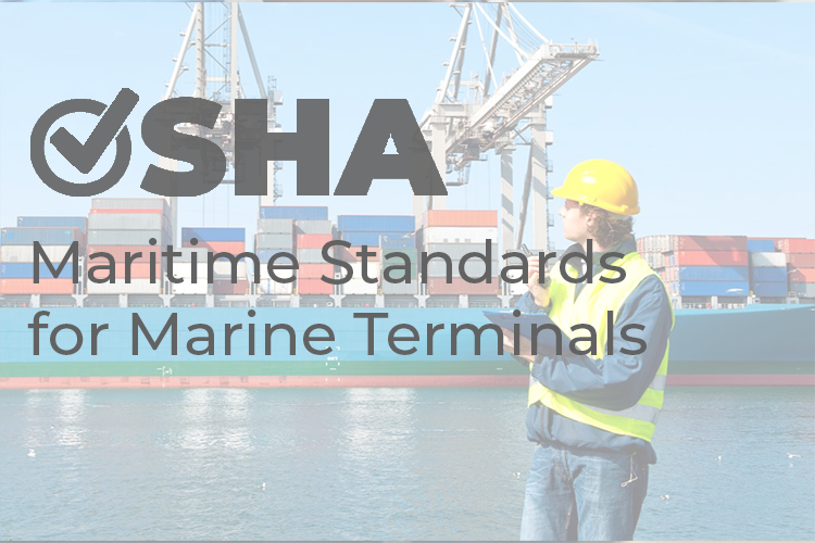 Read more about the article OSHA Maritime Standards For Marine Terminals