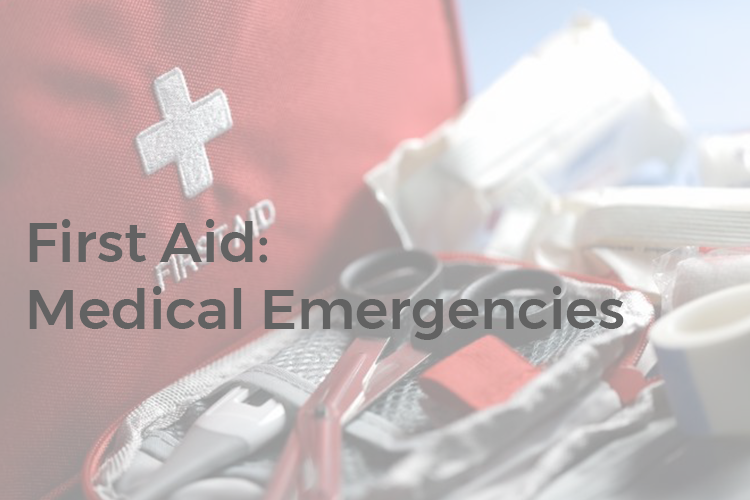 Read more about the article First Aid – Medical Emergencies